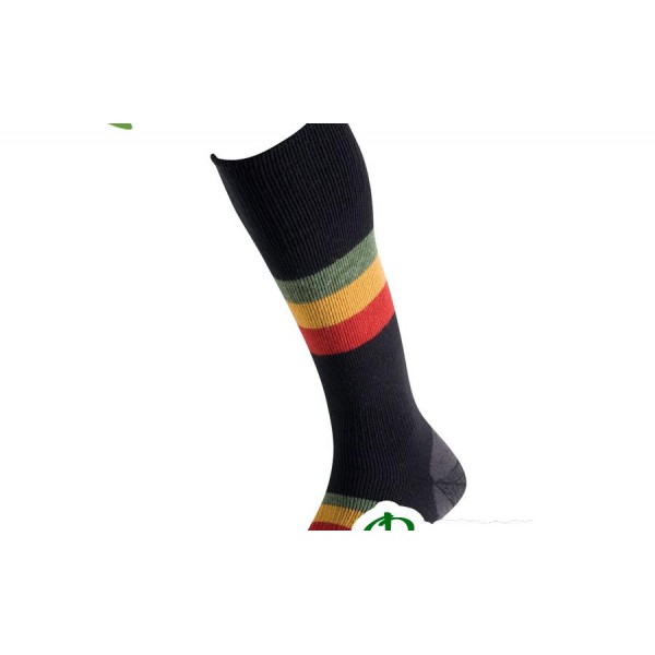 Термоноски лыжные сноуборд Lorpen FRRM ITALIAN WOOL Freeride 931 rasta