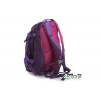 Рюкзак городской серии Osprey NOVA 33 mariposa purple 