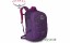Рюкзак для города Osprey QUESTA 27 mariposa purple