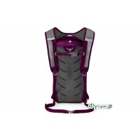 Рюкзак Osprey DAYLITE 13 eggplant purple