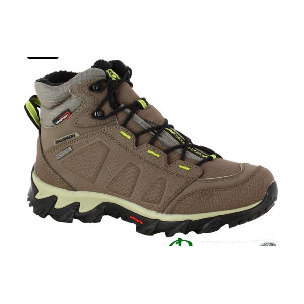 Ботинки мужские Salomon ELBRUS WP swamp/dark titanium