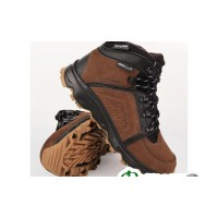 Ботинки мужские Salomon RODEO WP robusta/black 