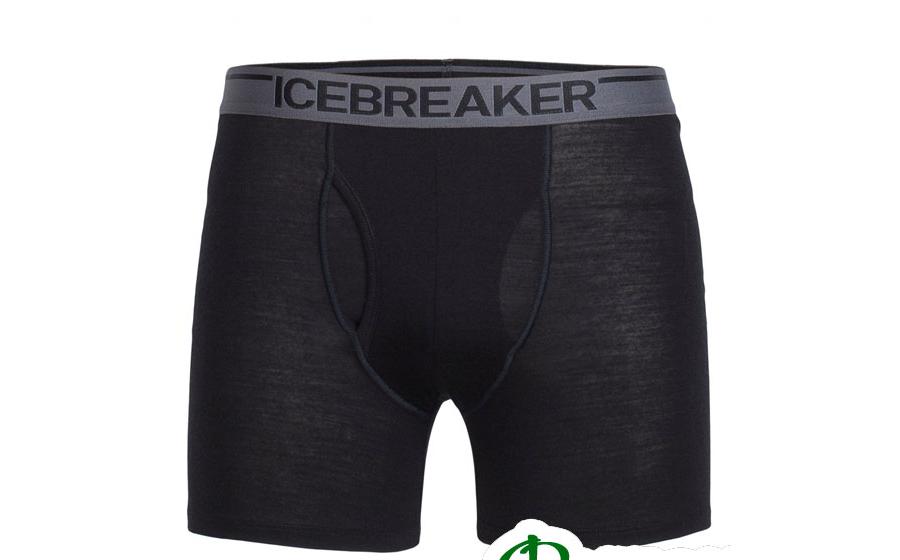 Термобелье мужское шорты Icebreaker ANATOMICA BOXERS MEN black/m