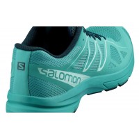 Жіночі кросівки для бігу Salomon SONIC PRO 2 W ceramic/dee