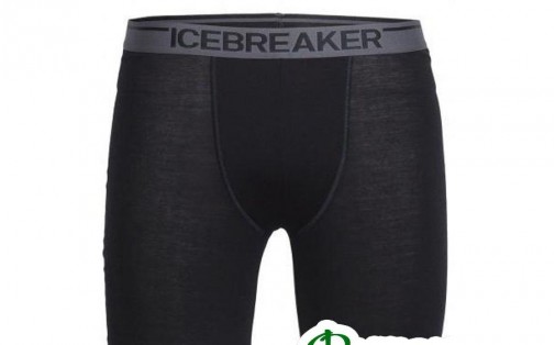Термобелье мужское шорты Icebreaker ANATOMICA LONG BOXERS MEN