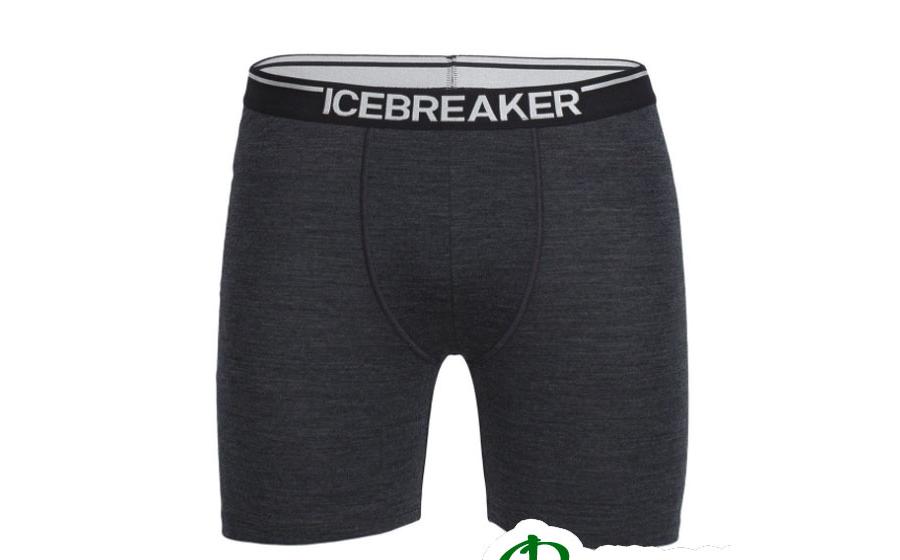Термобелье мужское шорты Icebreaker ANATOMICA LONG BOXERS MEN je