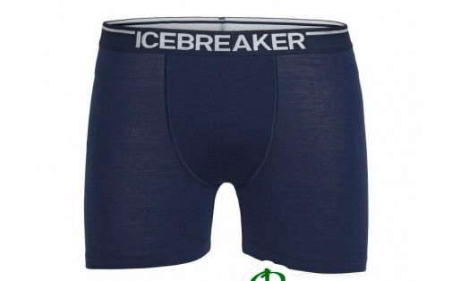 Термобелье шорты Icebreaker ANATOMICA BOXERS MEN lef/lef