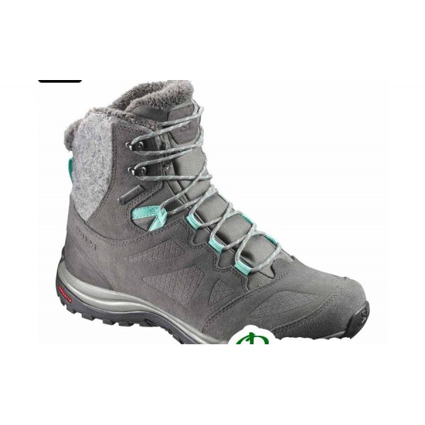 Ботинки зимние женские Salomon ELLIPSE WINTER GTX® casto