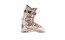 Лыжные ботинки FISCHER Soma MX 70 F - 44 (285)