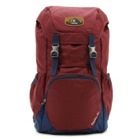 Рюкзак Deuter WALKER 20 maron-midnight