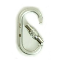 Карабін First Ascent OVUM KEYLOCK 23 kN