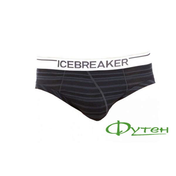 Термошорти чоловічі Icebreaker ANATOMICA BRIEFS MEN monsoon/white