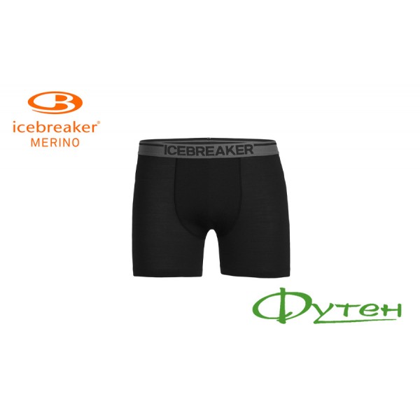 Термошорти чоловічі Icebreaker ANATOMICA BOXERS MEN black