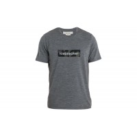 Футболка Icebreaker TECH LITE II SS TEE NATURA MEN gritstone hthr