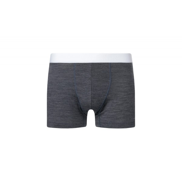 Термошорты Icebreaker ANATOMICA COOL-LITE TRUNKS MEN monsoon hthr