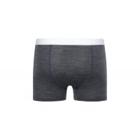 Термошорты Icebreaker ANATOMICA COOL-LITE TRUNKS MEN monsoon hthr