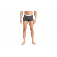 Термошорты Icebreaker ANATOMICA COOL-LITE TRUNKS MEN monsoon hthr