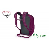 Рюкзак Osprey AXIS 18 eggplant purple