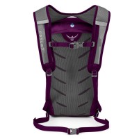 Рюкзак Osprey DAYLITE 13 eggplant purple