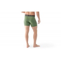 Термошорты Smartwool MEN'S MERINO BOXER BRIEF BOXED (SW SW016998.N06) fern green