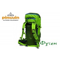 Рюкзак Pinguin WALKER 50 green