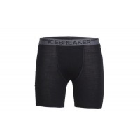 Термобелье мужское шорты Icebreaker ANATOMICA BOXERS MEN black