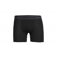 Термобелье мужское шорты Icebreaker ANATOMICA BOXERS MEN black/monsoon