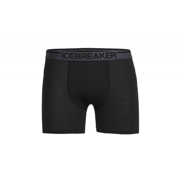 Термошорти чоловічі Icebreaker ANATOMICA BOXERS MEN black/monsoon